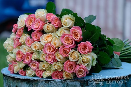 Букет из 51 розы "Сеньорита"